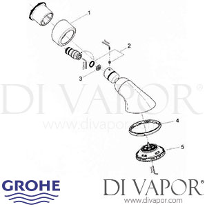 Grohe 28 513 Movario 100 Five Head Shower 5 Sprays Spare Parts (28513000)